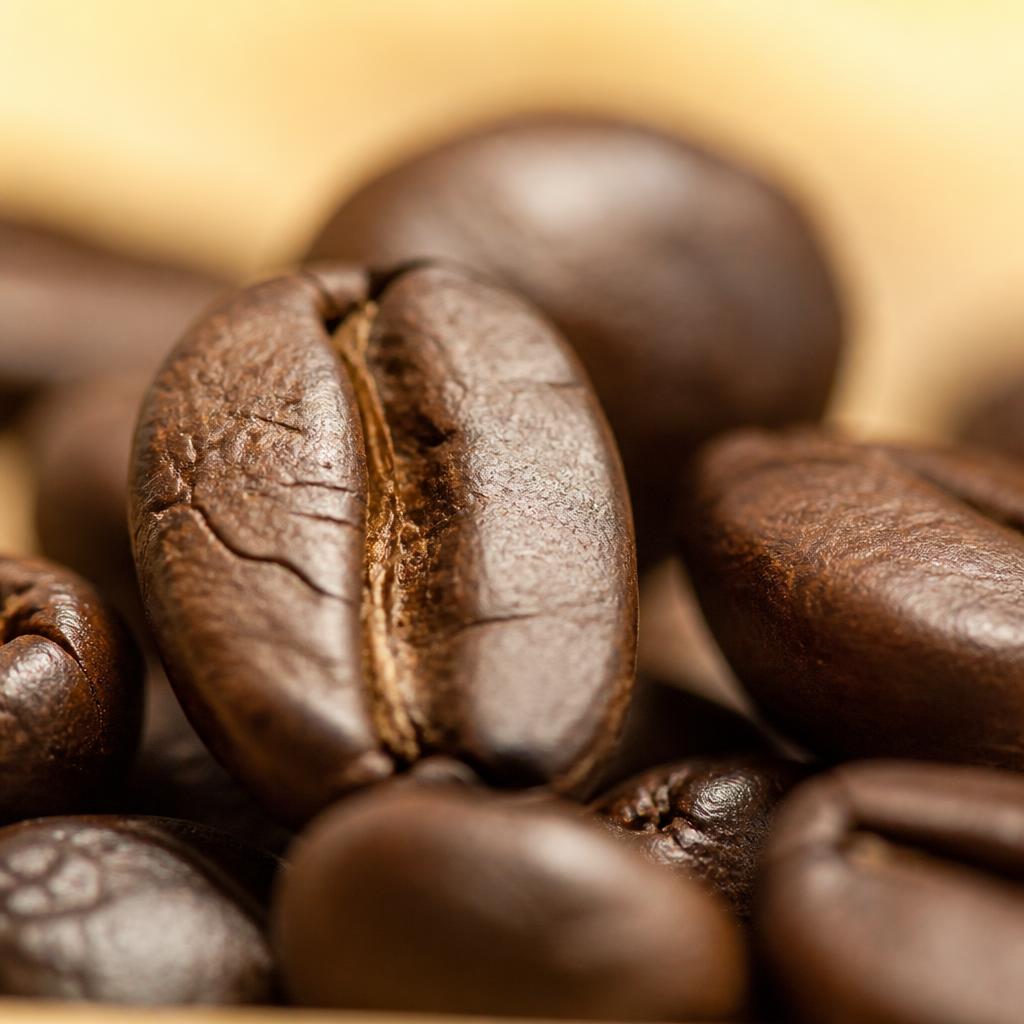 Close up biji kopi lokal pilihan